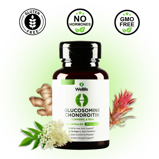 Wellife JointSupport Pro™