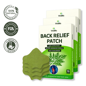 Wellife Back Relief Patches