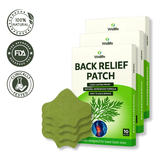 Wellife Back Relief Patches