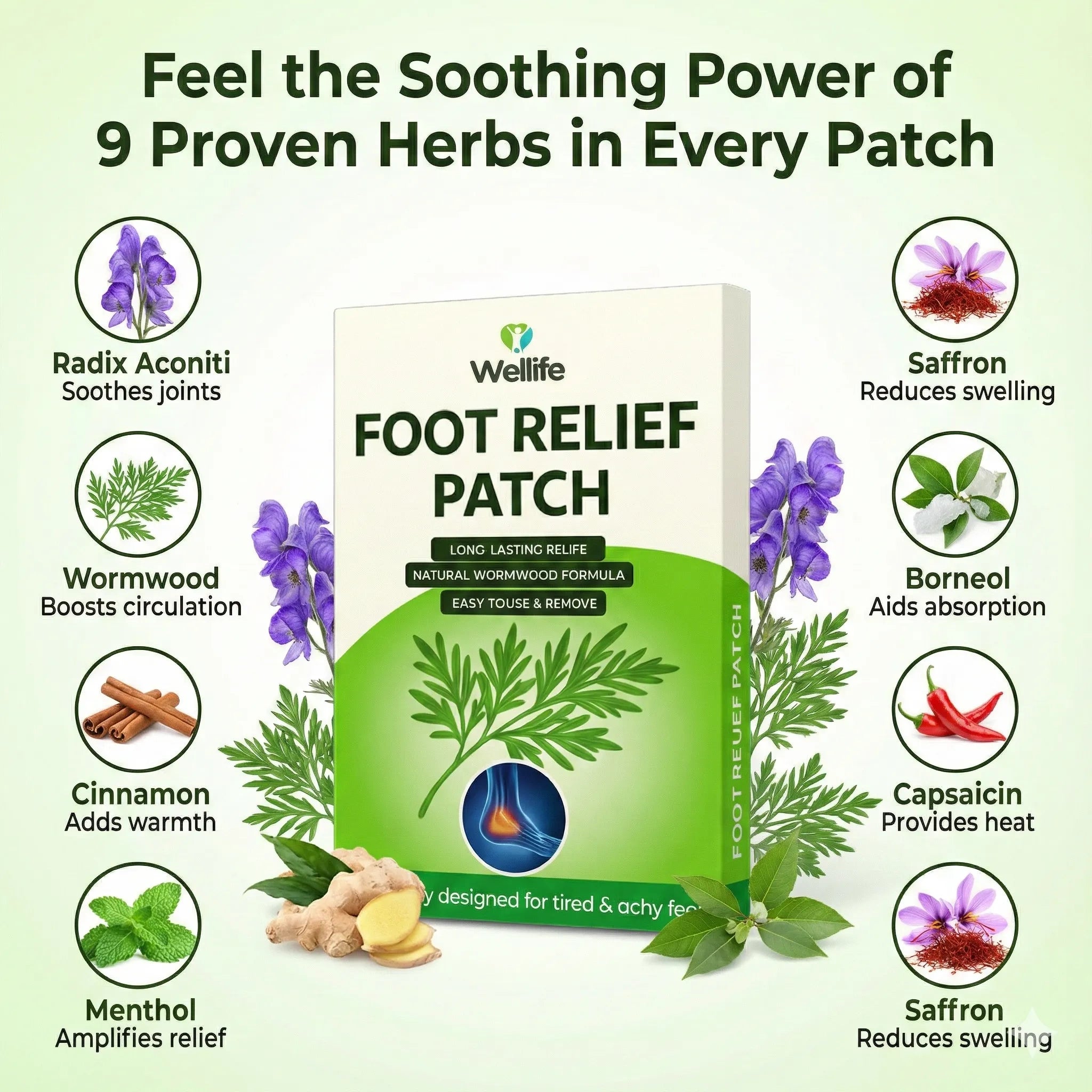 Wellife Foot Patches 2