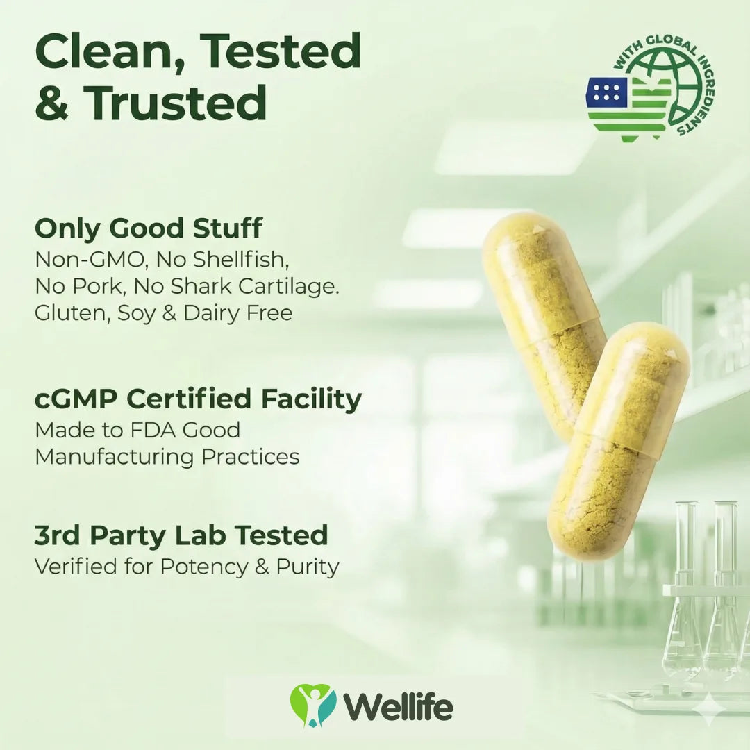 Wellife JointSupport Pro™