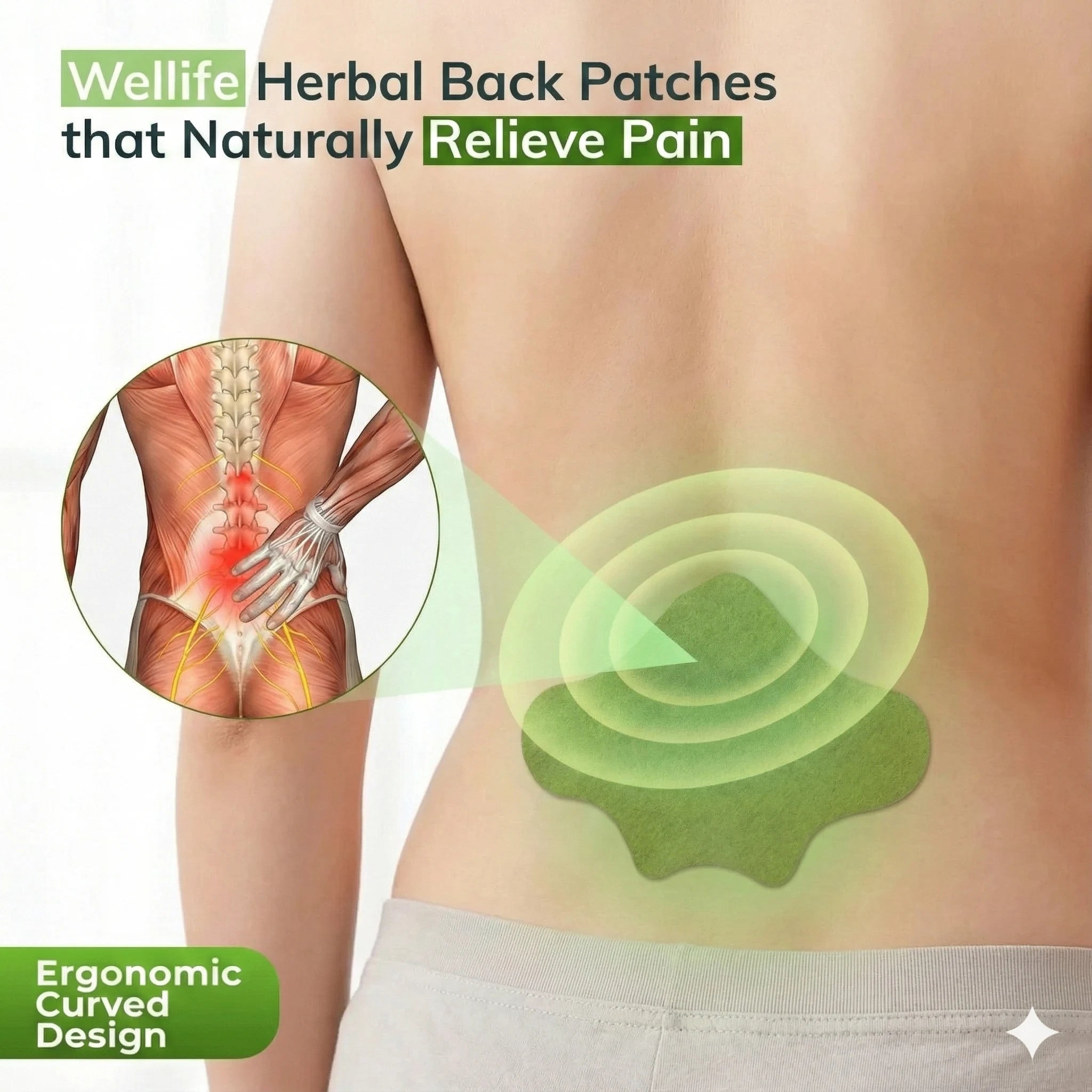 Wellife Back Relief Patches